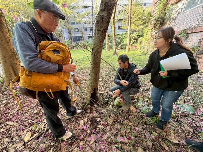 樹保專家為全校樹木做身體健康檢查1150109