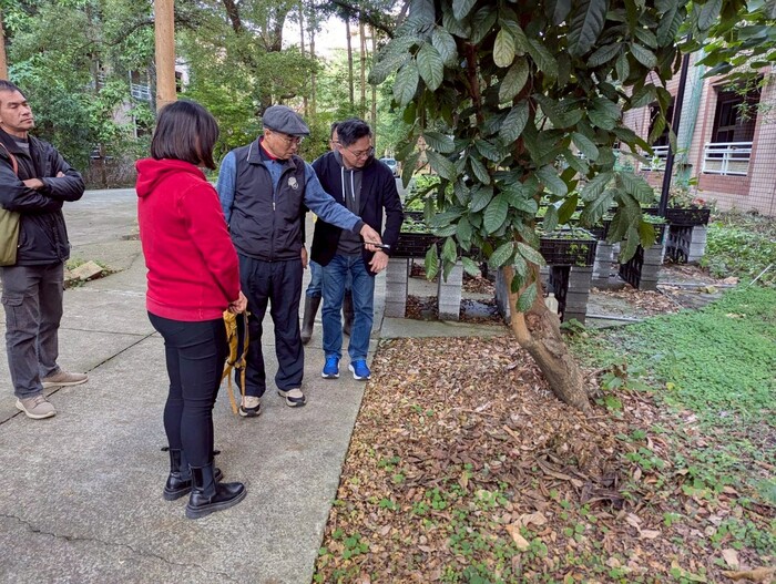 樹保專家為全校樹木做身體健康檢查1150109