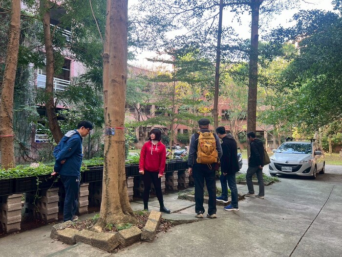樹保專家為全校樹木做身體健康檢查1150109
